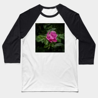 Drops Of Rain On A Rose Baseball T-Shirt